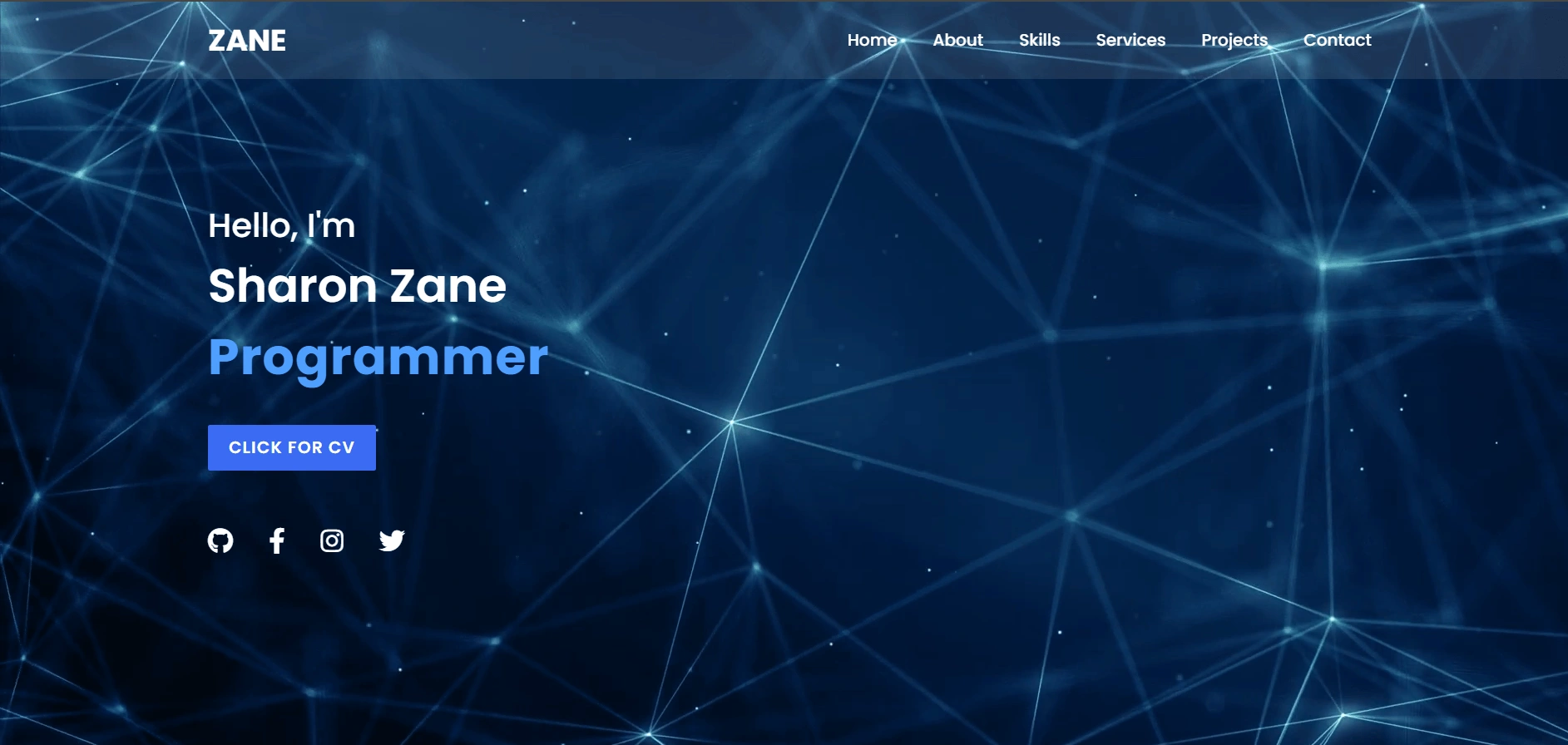 Portfolio Website